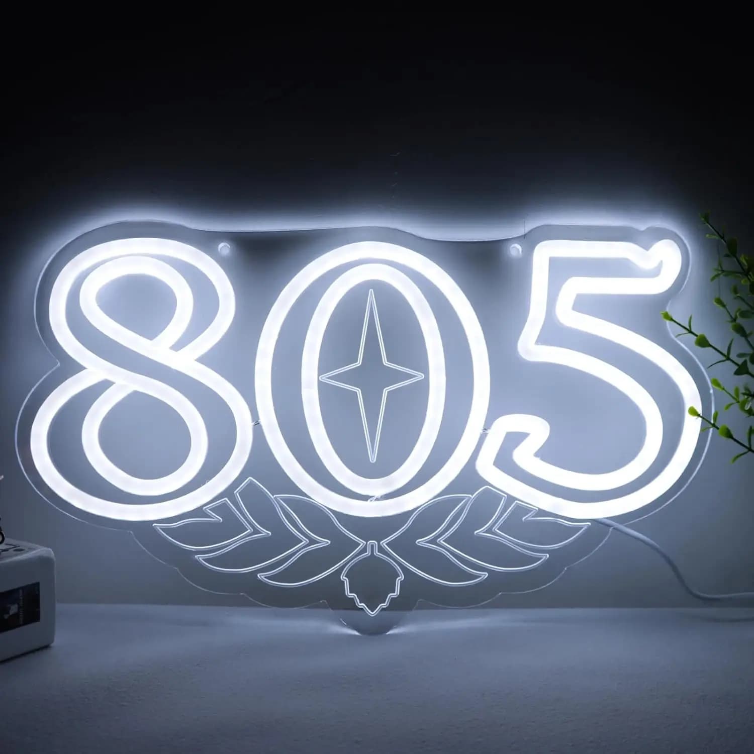 Insegna al Neon 805, Luce da Parete Artistica per Bar, Luce LED USB al Neon per Ristorante, Sala Giochi, Camera da Letto, Decorazione, Regalo, Luce Notturna