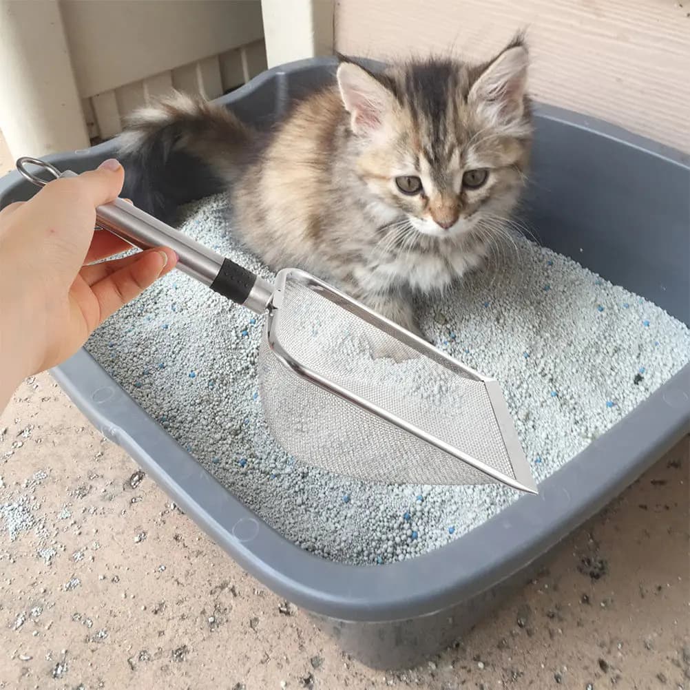 Pala in acciaio inossidabile per animali domestici, robusta, resistente agli urti, con controllo efficiente della perdita di sabbia e manico confortevole