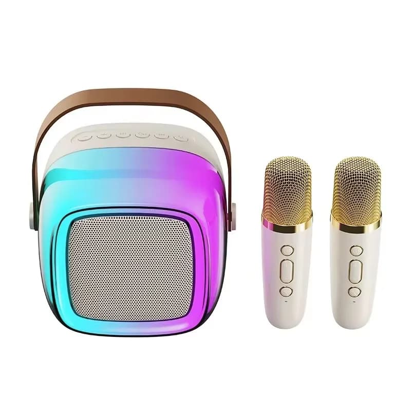 Mini altoparlante portatile ricaricabile per macchina karaoke con microfono a due microfoni Sistema Ktv Dsp Suono stereo Hi-Fi per bambini