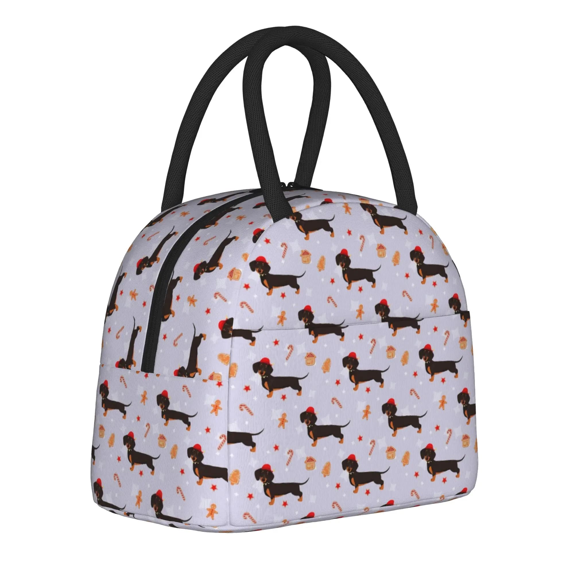 Dachshund Insulated Lunch Bag Cooler Bag Reusable,Lunch Container Dogs Animal High Capacity Tote Lunch Box Food Storage Bags