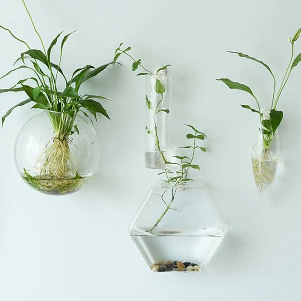 Hydroponic Plants Purify House Fish Tank Irregular Shape Wall-mounted Hydroponic Vase Flower Vase Flower Pot Plant Container