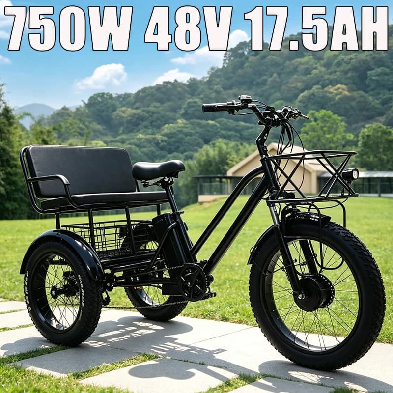 New 750W Powerful Motor Adult All-Terrain E-Tricycle 24in Snow Fat Tyre 48V18Ah Removable Battery Three Wheel Electric Bicycle