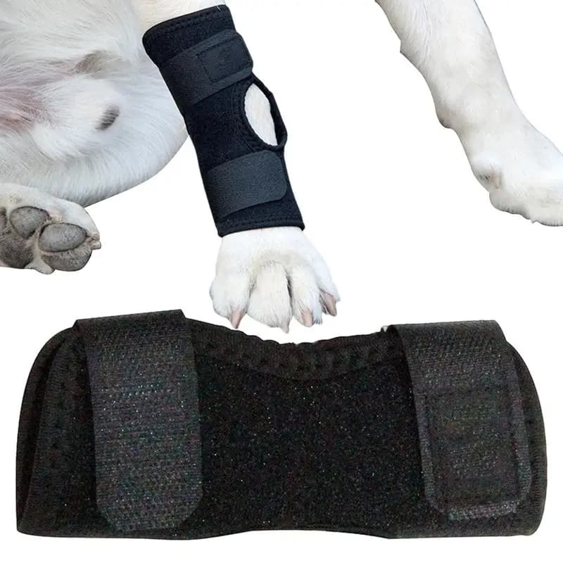 Bretelle per le gambe per cani Tutore per cani Manica per gamba Stecca per cani Supporto per ginocchio Anti-Licking Tutore per caviglia Avvolgimento di compressione articolare per il recupero
