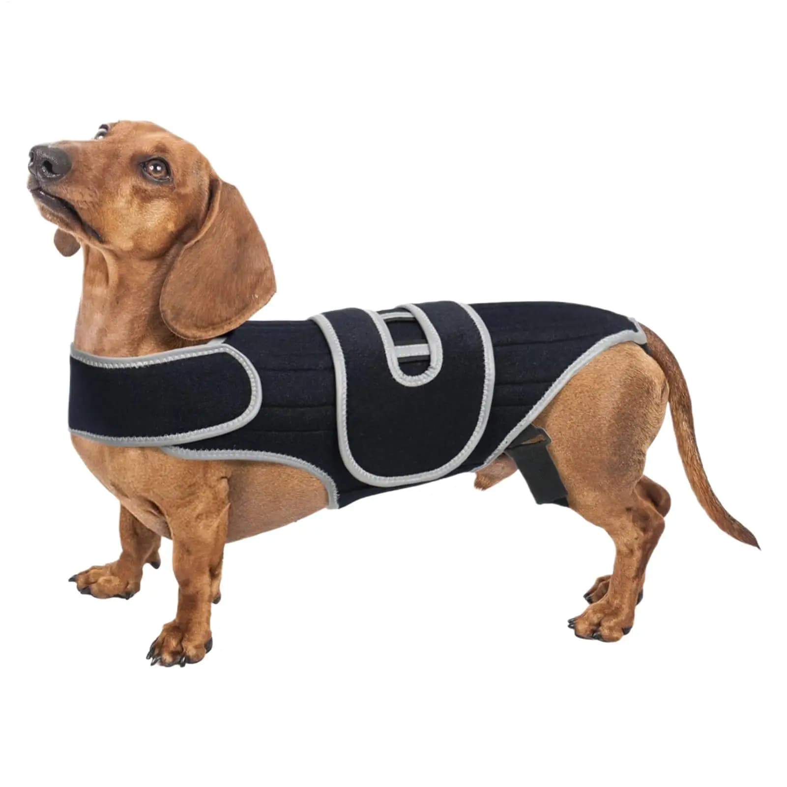 Dog Back Brace Adjustable Spinal Stability Vest Small Support Harness For Stair Step Walking Jogging Home Outdoor Travel
