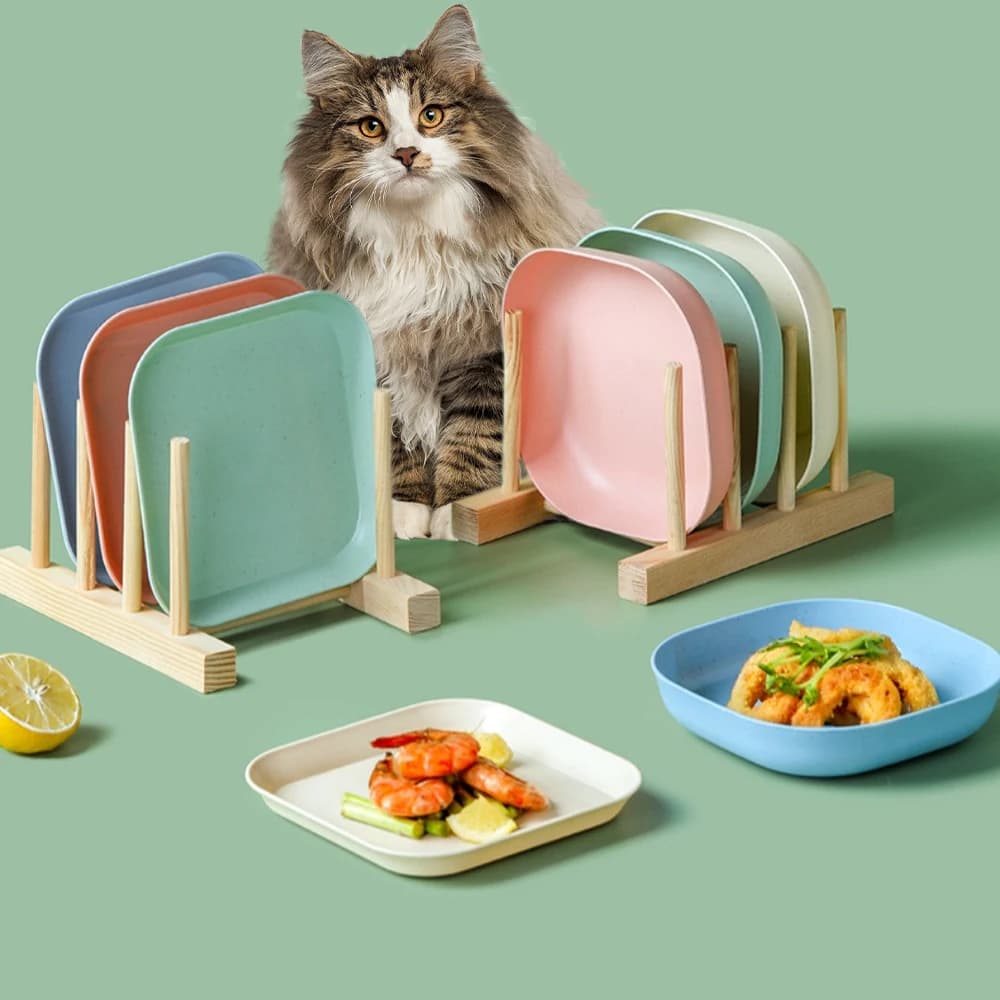 Ciotole Portatili e Facili da Pulire per Gatti/Cani - Ciotola in Plastica Sicura in Materiale PP per Snack e Cibo per Animali Domestici, per Casa o Esterni