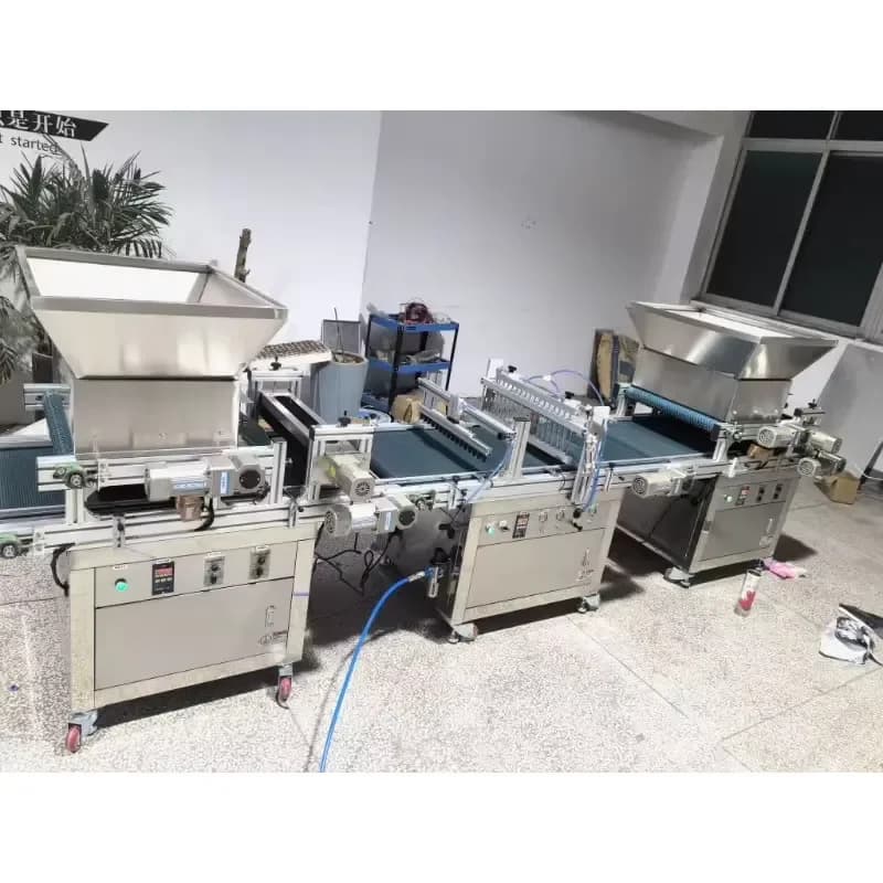 Fully Automatic Tray Seedling Sowing Machine Flower Seed Planting Machine Vegetable Seed Suction Seedling Machine