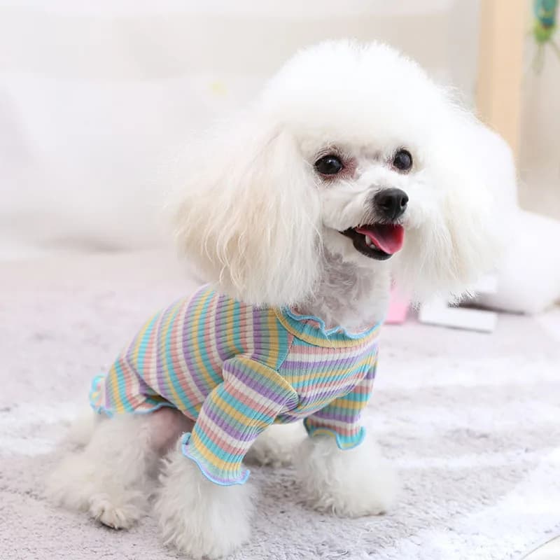 Vestiti per cani da compagnia Cucciolo Gilet T-shirt Camicia Carino Primavera Pet Gonna Abito Roupas para perros Camicia che tocca il fondo Costume per cani Vestiti per cuccioli