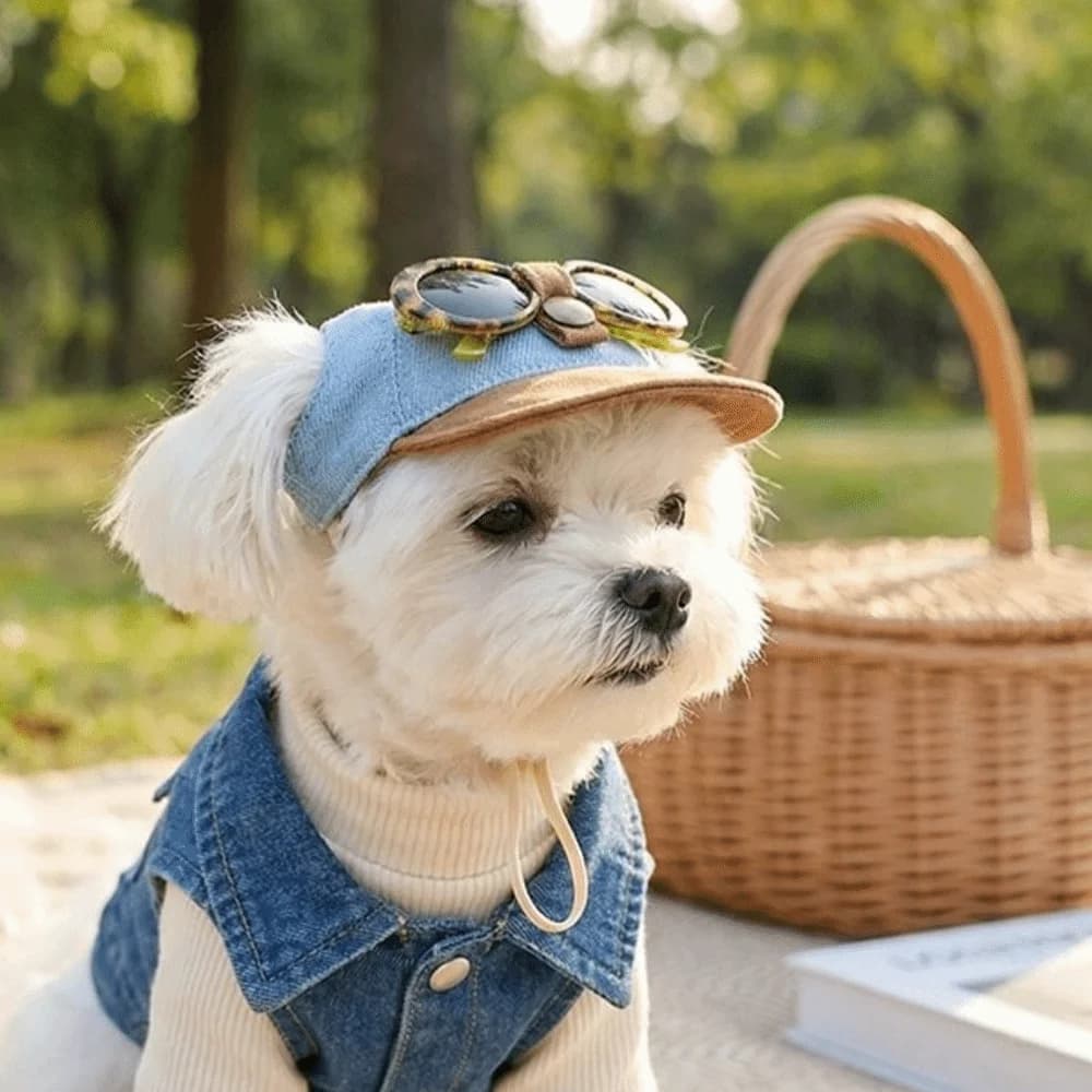 Cappello da Sole per Cani Stile Coreano con Occhiali da Sole, Berretto in Denim con Fori per le Orecchie, Cappello Sportivo per Cani, Visiera Regolabile, Accessori per Foto