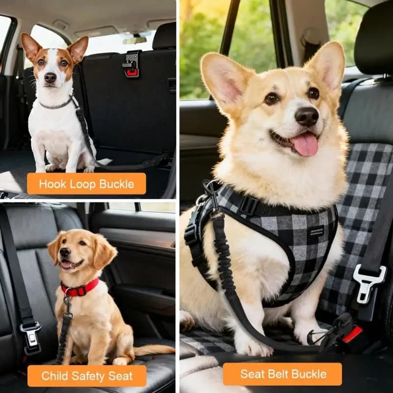 Cintura di Sicurezza Multifunzionale per Animali Domestici, Corda Elastica Riflettente per Cani, Guinzaglio per Auto, Accessori