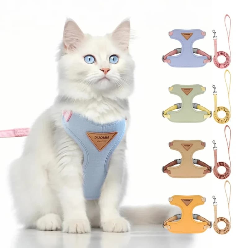 Cat Puppy Outdoor Walking Supplies Fashion Pet Harness and Leash Set for Small Dogs Cats Breathable Durable Kitten Harnesses