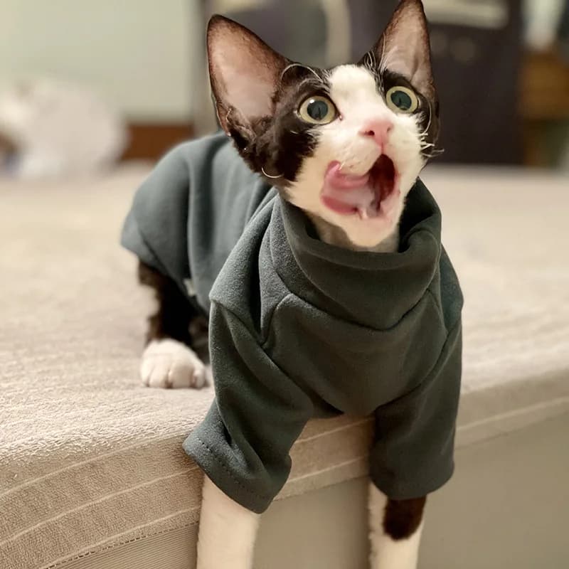 Sphynx Vestiti per gatti Baby Morbido cotone Autunno Inverno Gattino Vestiti per cani di piccola taglia per Cornish Devon Costume per gatti Vestiti per animali domestici senza peli