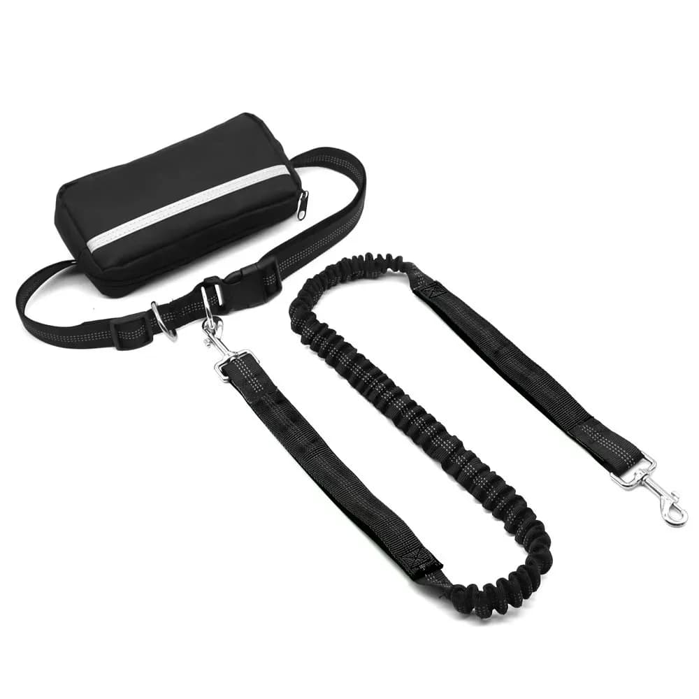 Free Hand Dog Drive for Race and Stroller, Reflective Guinzaglio with Marsupio, Retractable Elastic Belt, Traction Cord for Dogs, Product for Domestic Animals