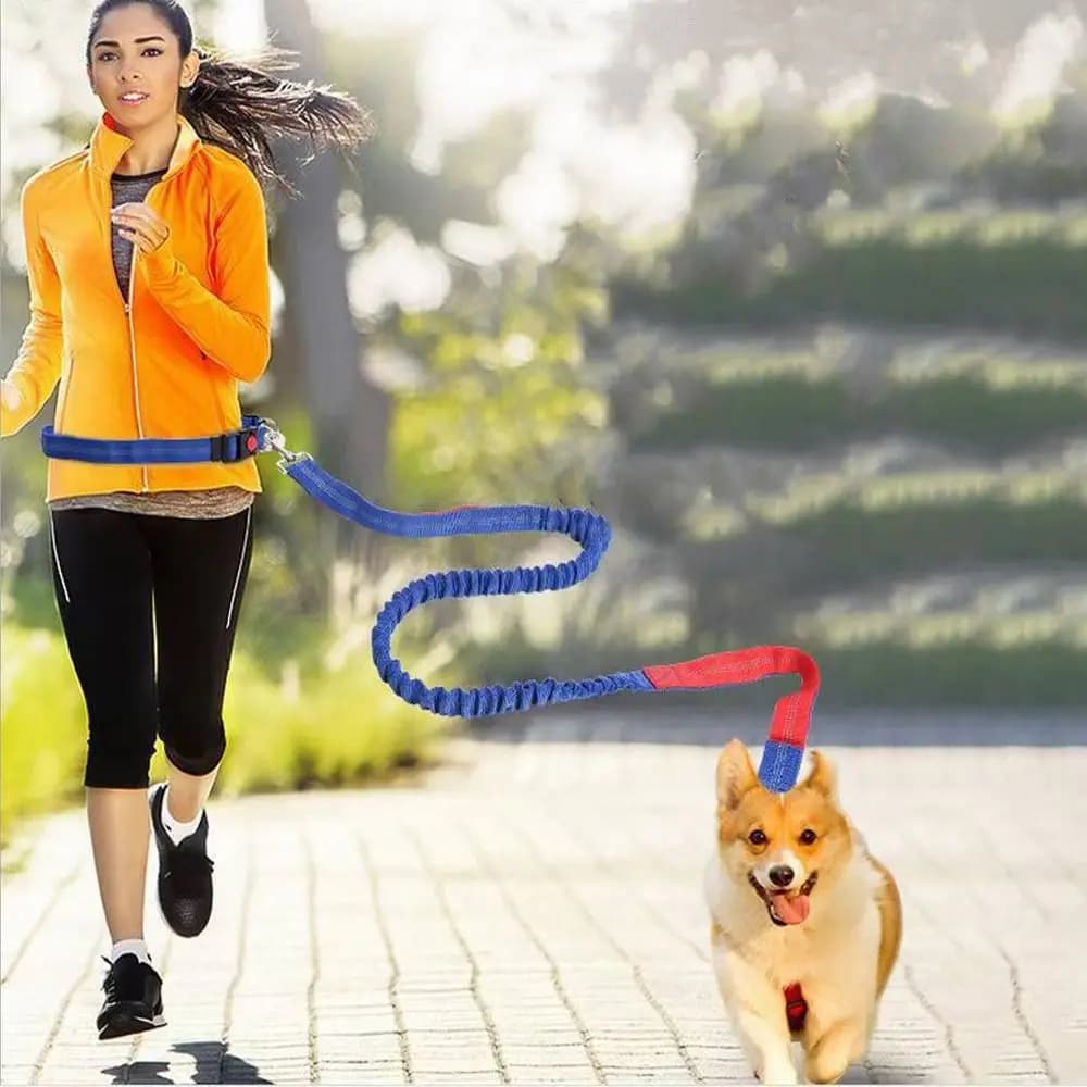 Guinzaglio Elastico Doppio per Cani e Gatti, Cintura da Passeggio Riflettente a Mani Libere