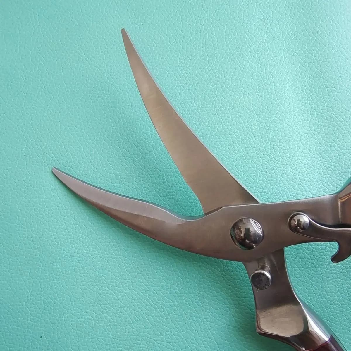Stainless Steel Chicken Bone Scissors Cooking Scissors Home Food Scissors Fish Chicken Forbici Knife