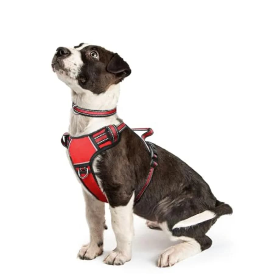 Pettorina per cani con collare, regolabile, riflettente, in tessuto Oxford, per esterni, con clip per guinzaglio anteriore/posteriore
