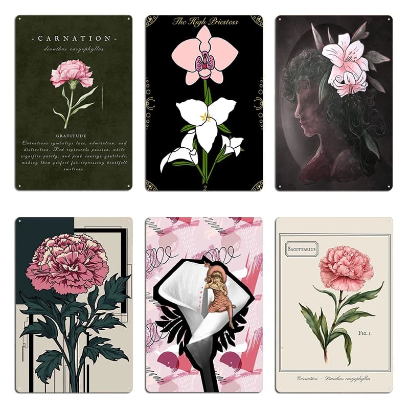 Carnation Floriografia The High Priestess Tarot Card Hope Springs Eternal Metal Classic Pub Stampato Targa in metallo per feste