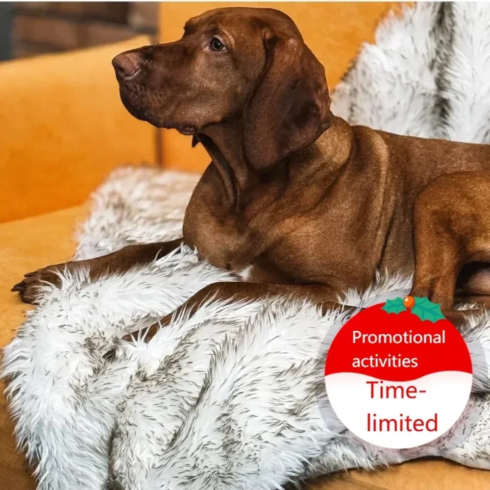 Coperta impermeabile per cani in finta pelliccia, lavabile e resistente, per cani di taglia piccola, media e grande, ideale per divano, letto e auto.