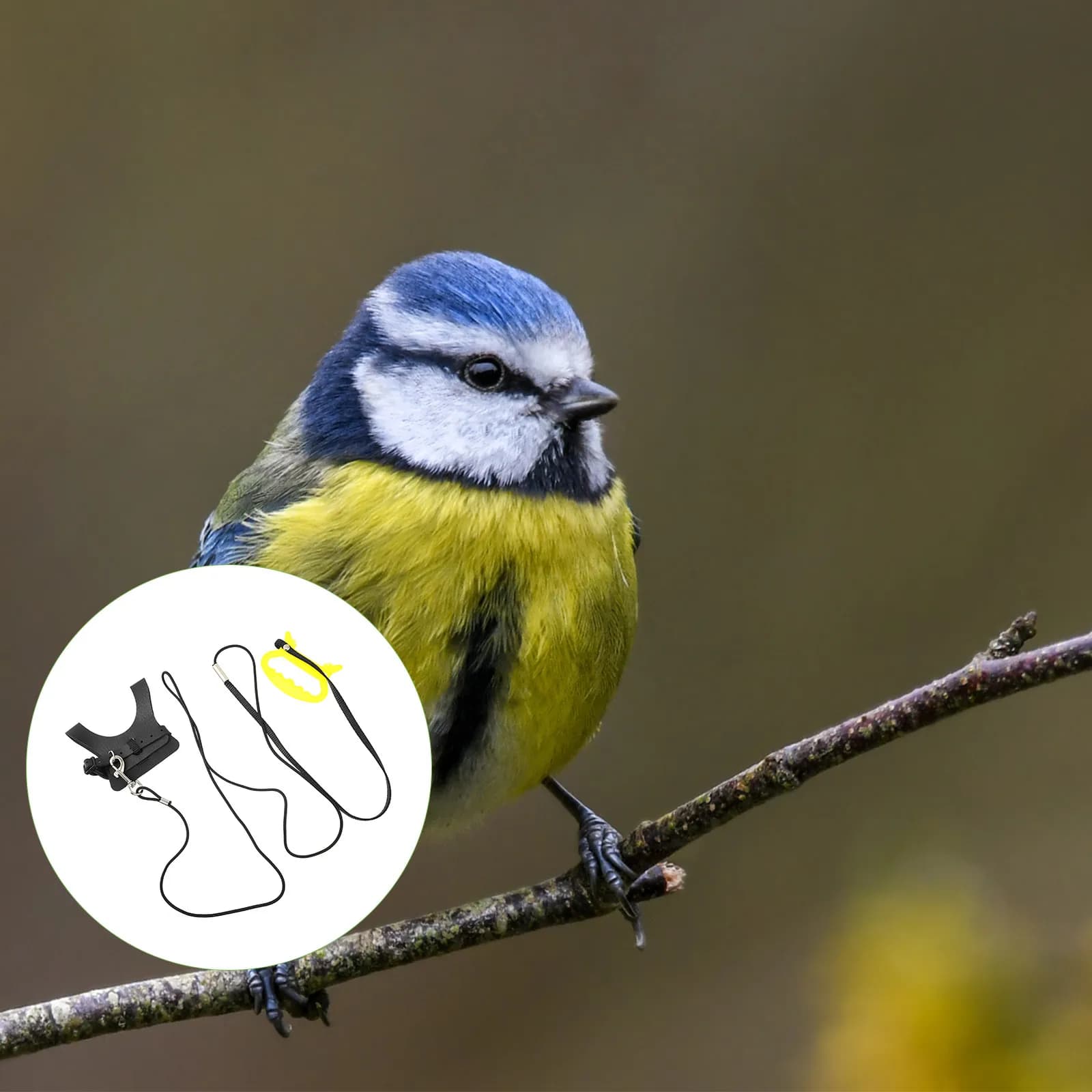 Bird Harness Vest Adjustable Leash for Parrot Flying Training Outdoor Use Comfort Fit Long Life Safe Bird Flying Harness Leash