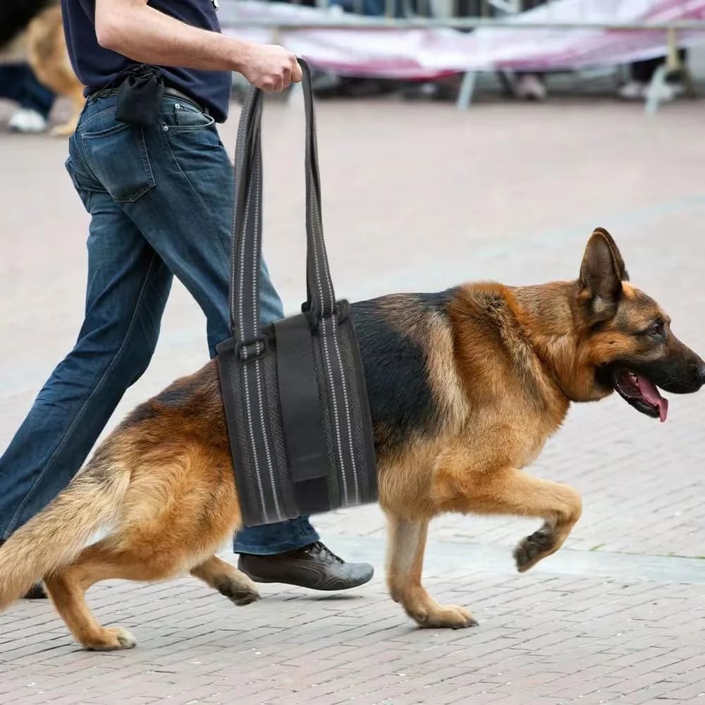 Imbracatura per cani imbracatura per cani regolabile per supporto per gambe posteriori imbracatura per riabilitazione per gambe posteriori deboli strumento di assistenza per animali domestici per cani anziani