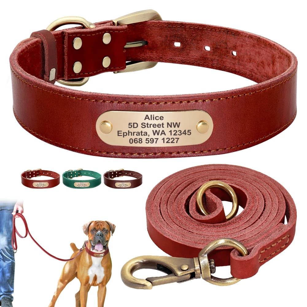 Set di guinzagli per collare per cani in pelle personalizzati Guinzaglio per collare per animali domestici personalizzato Targhetta incisa gratuita per cani di taglia piccola, media e grande