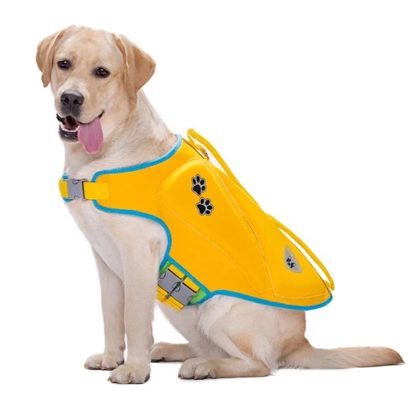 Giubbotto Salvagente per Cani, per Carlino, Bulldog Francese, Corgi, Samoiedo, Husky, Labrador, Golden Retriever, Abbigliamento per Cani Grandi, Costume da Nuoto