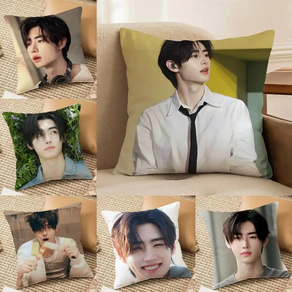 P-Park S-Sunghoon Pop Singer Federa per cuscino Antipolvere Divano letto con cerniera invisibile