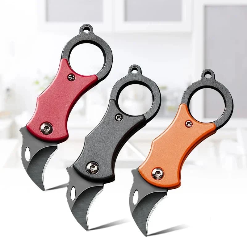 Mini Coltello Pieghevole Multiuso, Coltello da Cucina per Tagliare Carne, Frutta, Pesce, Verdure, Disossare, Coltello da Macellaio e Chef