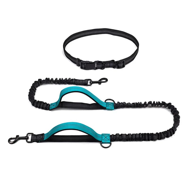 Handle for Cans with Adjustable Belt, Double Handle Reflective Elastic Corda, Pet Racing Accessories