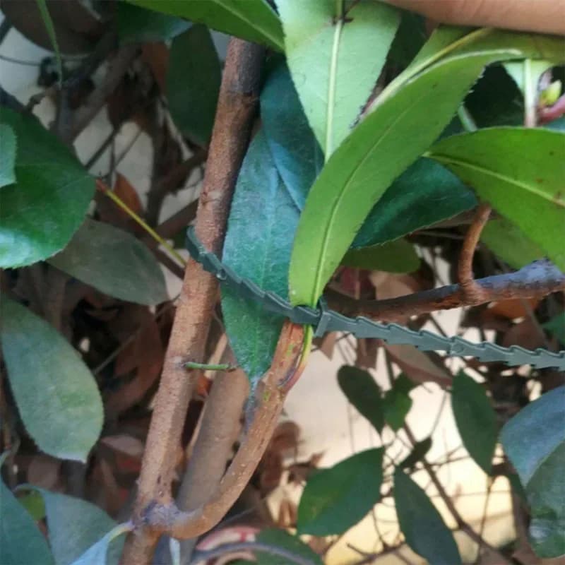 Fascette fermacavi in plastica regolabili riutilizzabili per supporto per arrampicata sugli alberi da giardino, 100 pezzi, clip per stelo di pomodoro per piante di vite