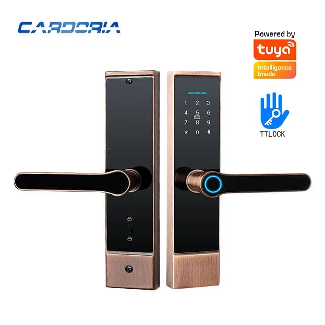 Prezzo all'ingrosso Smart Lock TTlock Tuya Blue Tooth WiFi Airbnb Serratura elettronica digitale intelligente biometrica per impronte digitali