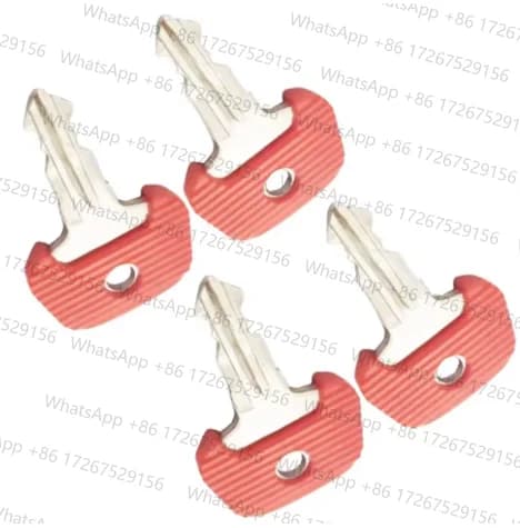 Chiave 702 Chiave di accensione cucitrice elettrica 702, 20 pezzi