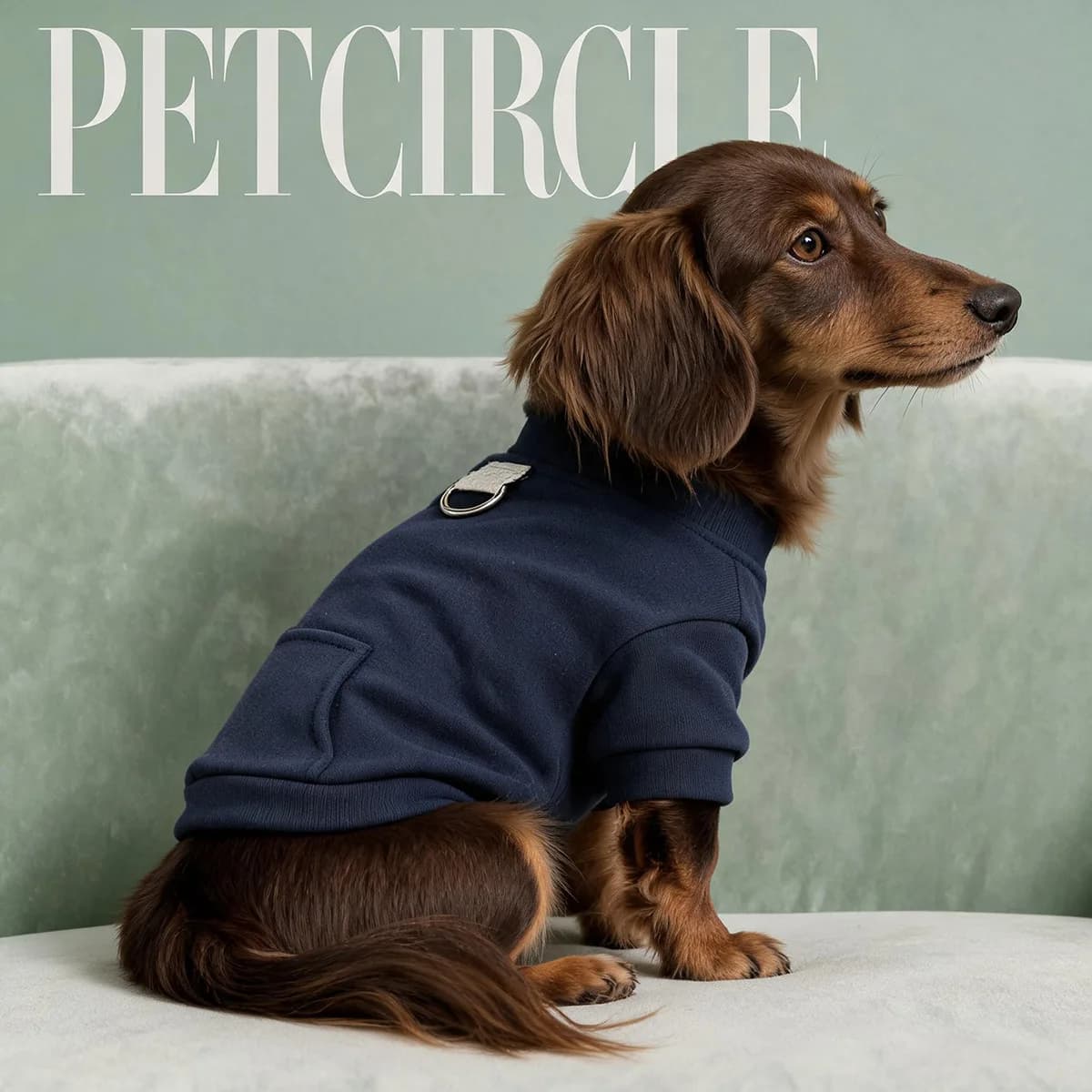 2026 navy blue light plate pocket pet hoodie for cats and dogs, universal traction, solid color base, spring and autumn top