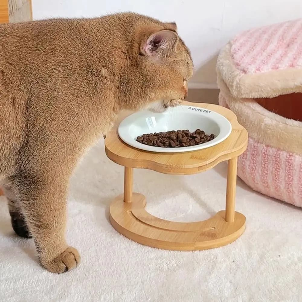 Ciotola in Ceramica per Gatti, Ciotola in Legno per Cani, Contenitore per Cibo e Acqua, Antiscivolo, con Piedini Alti, Rimovibile