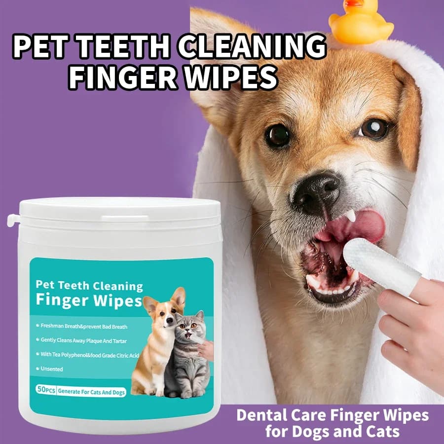 Prodotti per la pulizia degli animali domestici usa e getta salviette per la pulizia dei denti cura delle orecchie rimozione degli acari delle orecchie per cani e gatti prodotti per animali domestici