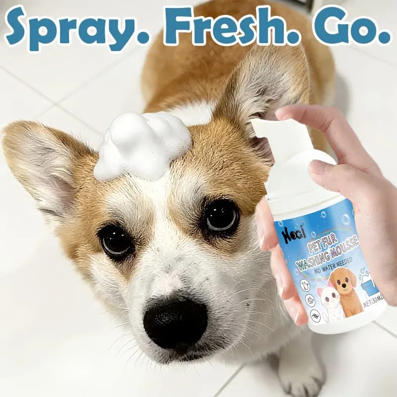 Instant Fresh Pet Dry Shampoo Foam - No-Rinse Plant-Based, One-Pump Wipe Care for Cats & Dogs, Daily Home Use, Tidy Messy Fur