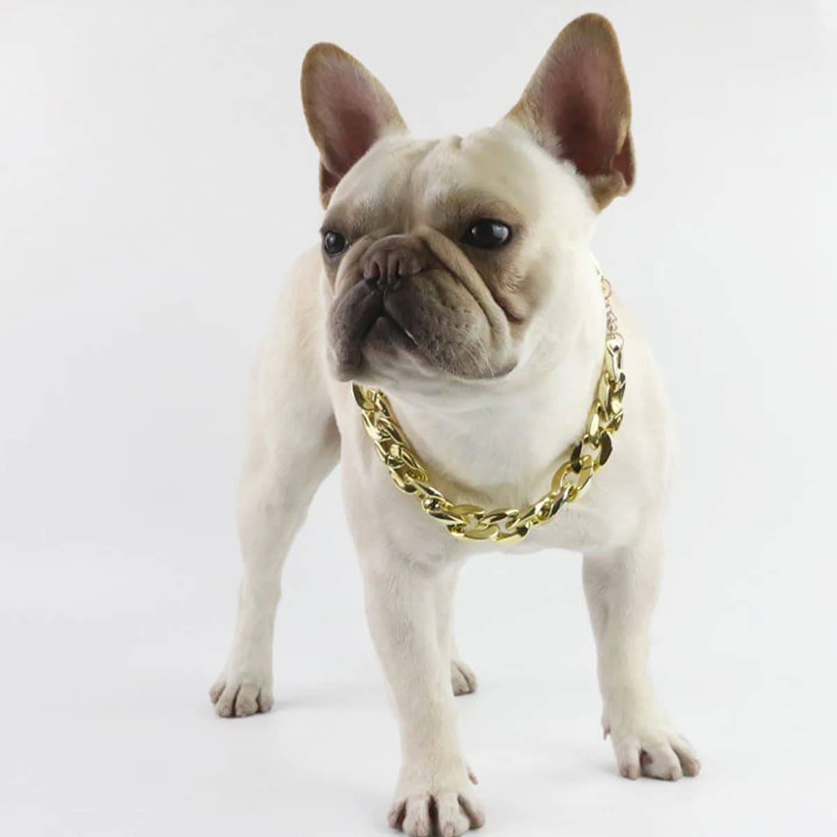Collare per Cani Audace ed Elegante, Stile Cubano Tycoon Dorato, Decorazioni alla Moda, Regali per Feste, Cosplay per Gatti, Collari Premium