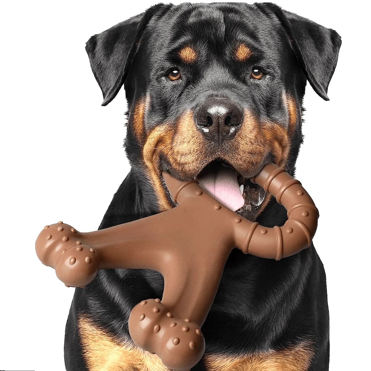 Giocattolo da masticare per cani interattivo durevole a forma di osso da 1 pezzo - Pulizia, molatura e ausilio per l'addestramento dei denti su entrambi i lati - Sapore di manzo