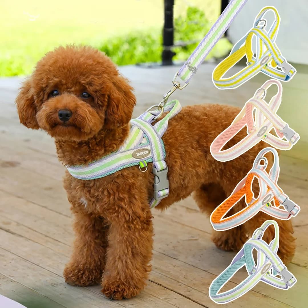 Lightweight Dog Harness for Small Medium Dogs, Soft Padded Breathable Puppy Vest, Adjustable Comfortable Pet Harness for Outdoor