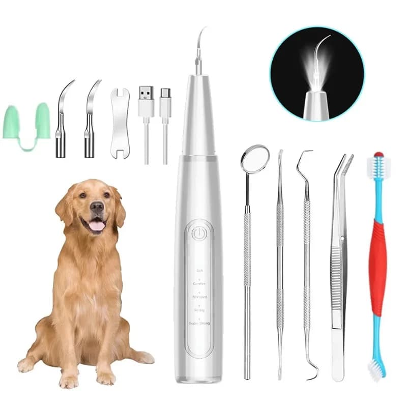 New Style Fashion Electric Toothbrush for Dogs with Whitening & Dropping Function, Ultrasonic Dentral Cleaner for Domestic Animals