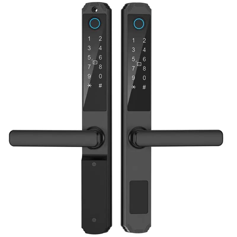 【NUOVISSIMO】APP Password TUYA WIFI Serratura intelligente impermeabile Doppia impronta digitale Scheda RFID Serratura elettronica digitale senza chiave 3085