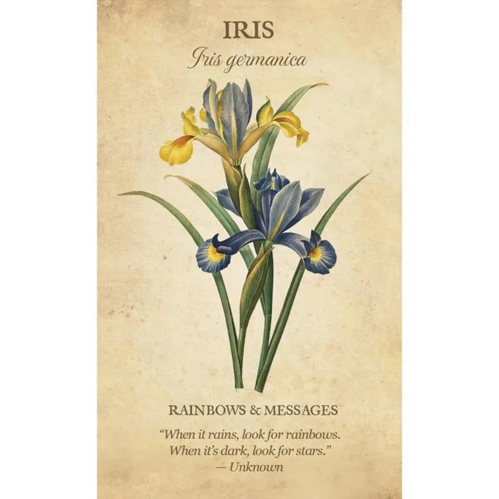 Mazzo di carte Oracle di ispirazione botanica da 10 * 6 cm. Mazzo completo di 45 carte inglese