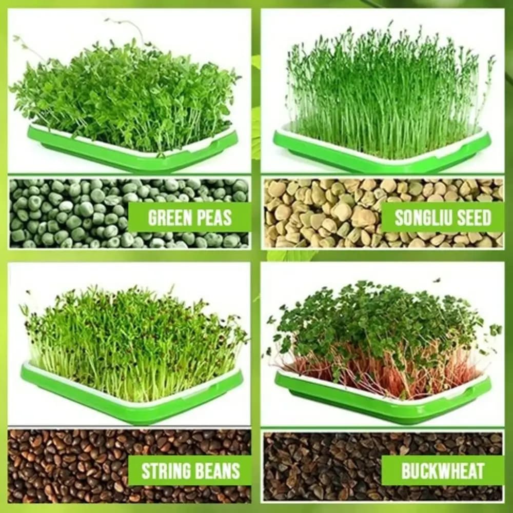 Gardening Supplies Nursery Paper Hydroponic Tray Plant Box Seed Sprouter Tray Grow Nursery Pots Sprout Pot