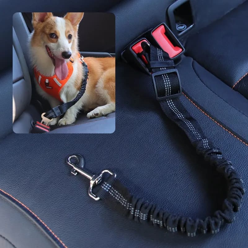 Cavo per cintura di sicurezza per cani retrattile, guinzaglio di sicurezza riflettente elastico elastico per viaggi in auto, imbracatura di sicurezza regolabile per veicoli per animali domestici