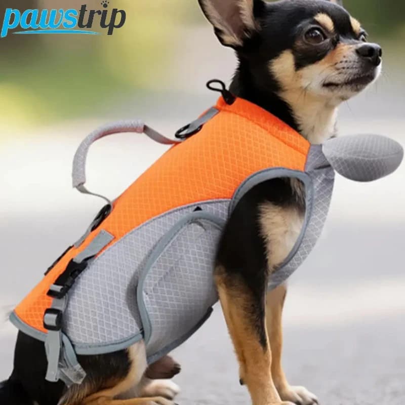 Borsa da trasporto multifunzionale per animali domestici per gatti Cani di piccola taglia Borsa a tracolla traspirante per cuccioli a quattro zampe Borse portatili per cani da passeggio all'aperto