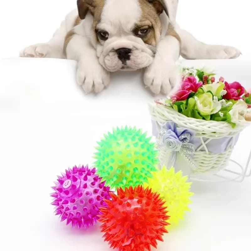 Palla giocattolo luminosa per animali domestici, resistente ai morsi, elastica, incandescente, per dentizione del cane, giocattoli interattivi per gatti, forniture per animali domestici