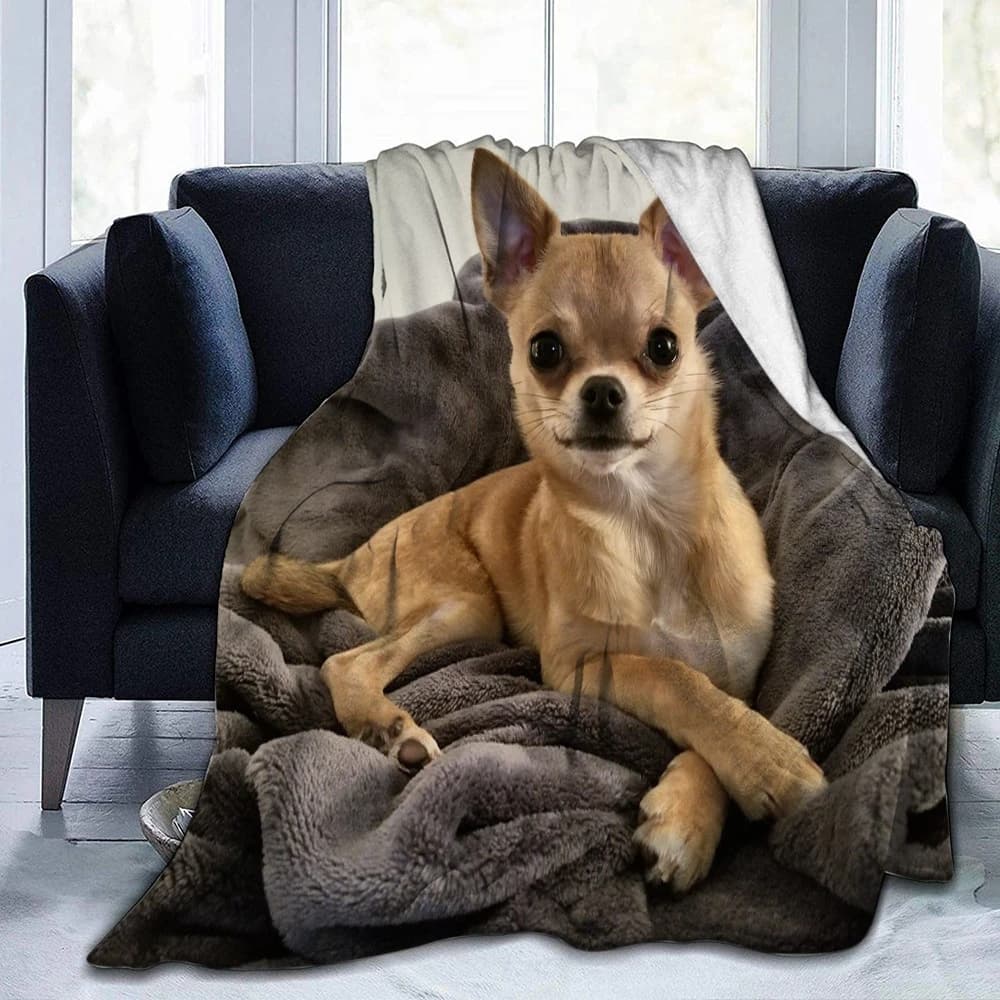 Simpatica coperta in flanella per cani Chihuahua, copriletto per la decorazione della biancheria da letto della camera da letto, dimensioni multiple, soffice peluche, morbida coperta per divano letto