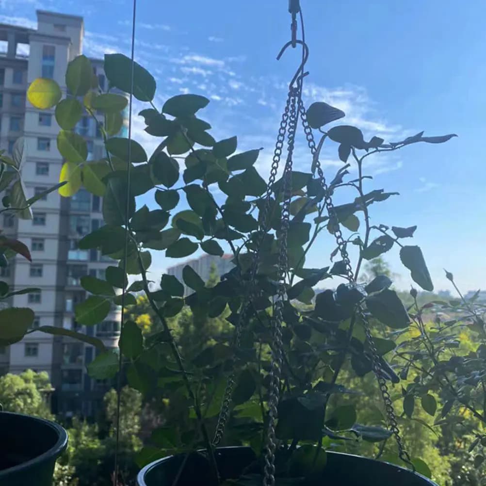 Set di 3 Catene per Vasi, Robuste Catene in Ferro per Appendere Vasi, Mangiatoie per Uccelli, Cesti Sospesi, Uso Interno ed Esterno in Giardino
