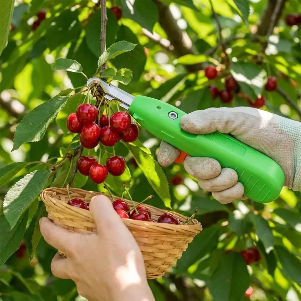 Attrezzo Manuale per la Raccolta delle Bacche, Forbici Resistenti alle Spine per la Raccolta della Frutta, Manico Antiscivolo Ergonomico, Forbici per Rami di Fiori