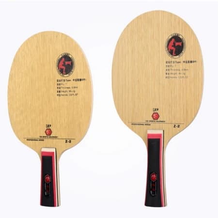 Amicizia 729 Z-2 Racchetta da ping pong