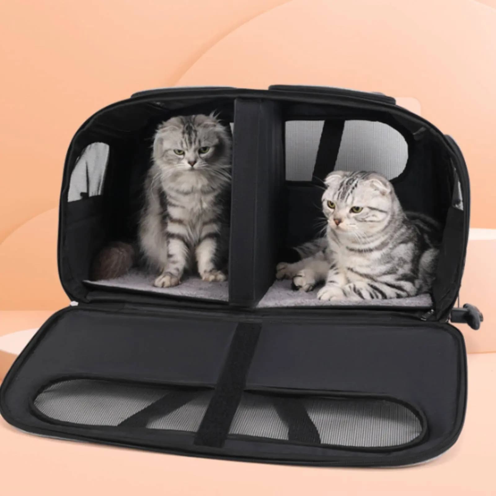 Trolley per Animali Domestici, Valigia Portatile per Gatti con Ruote, Manico Telescopico, Trasportino Ventilato Pieghevole per Gatti